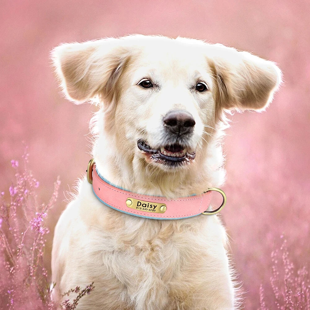 Personalized Dog Collar Leash for Small Large Dogs Soft Padded