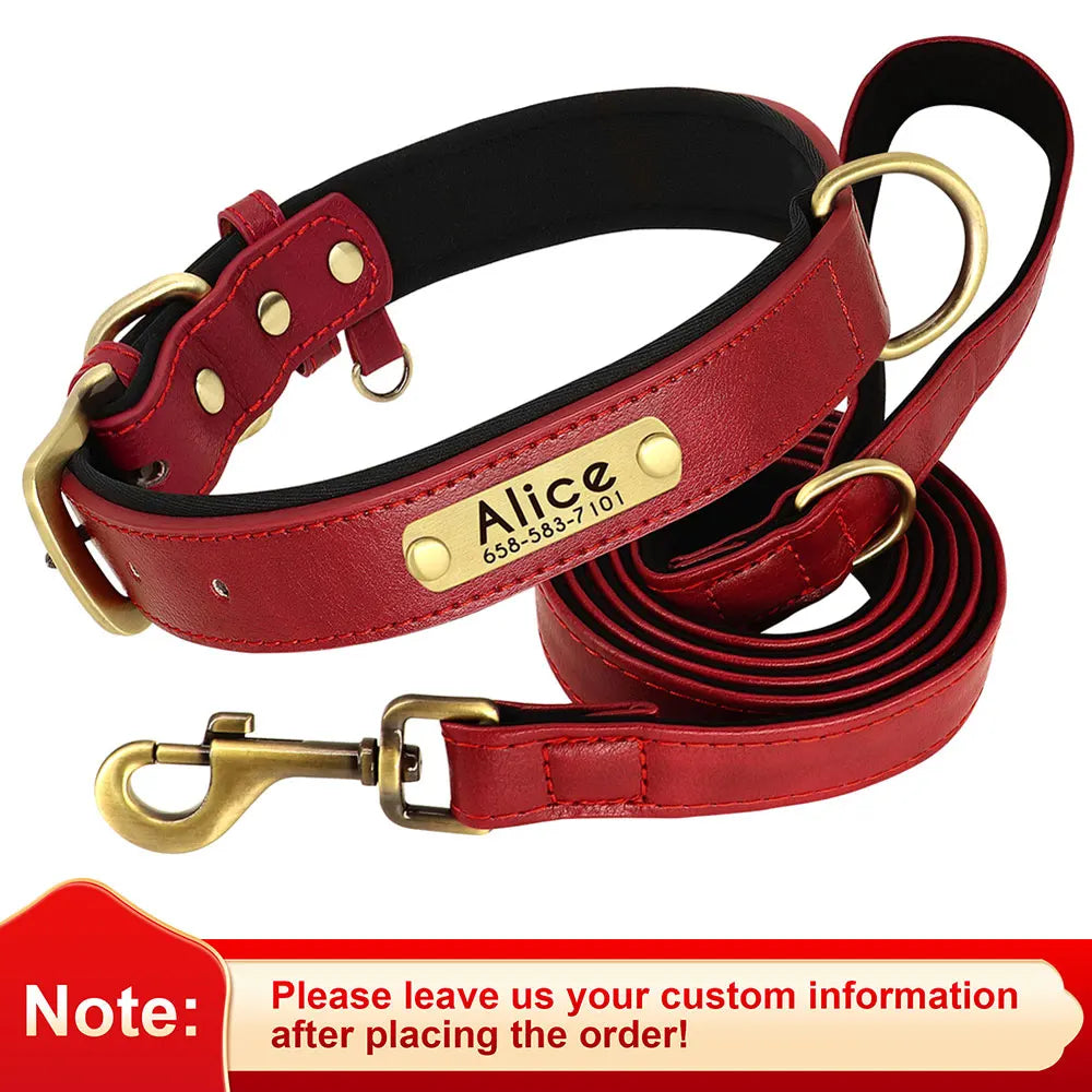 Personalized Dog Collar Leash for Small Large Dogs Soft Padded