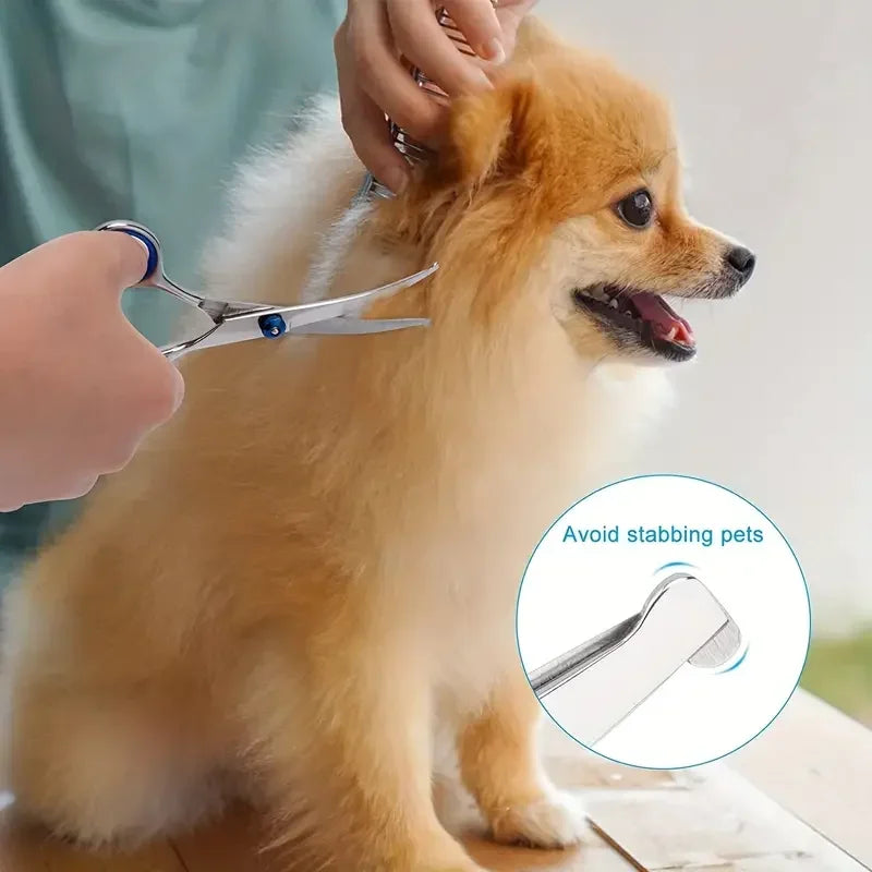 Ambidextrous Pet Safe Scissors ,Stainless Steel Grooming Shears with round Head for Precision Trimming