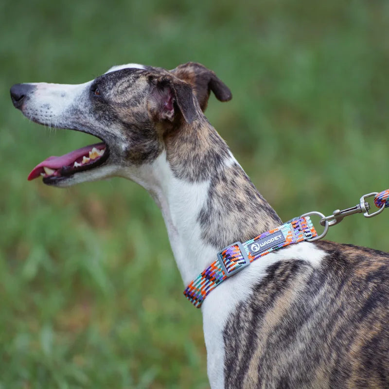 Nylon Dog Collar ,Adjustable, Reflective with Metal Buckle and Quick Release Buckle Large and Medium Dog Pet Collars