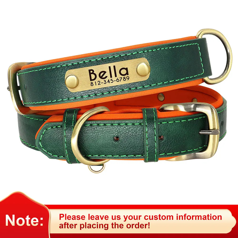 Personalized Dog Collar Leash for Small Large Dogs Soft Padded