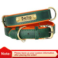 Personalized Dog Collar Leash for Small Large Dogs Soft Padded