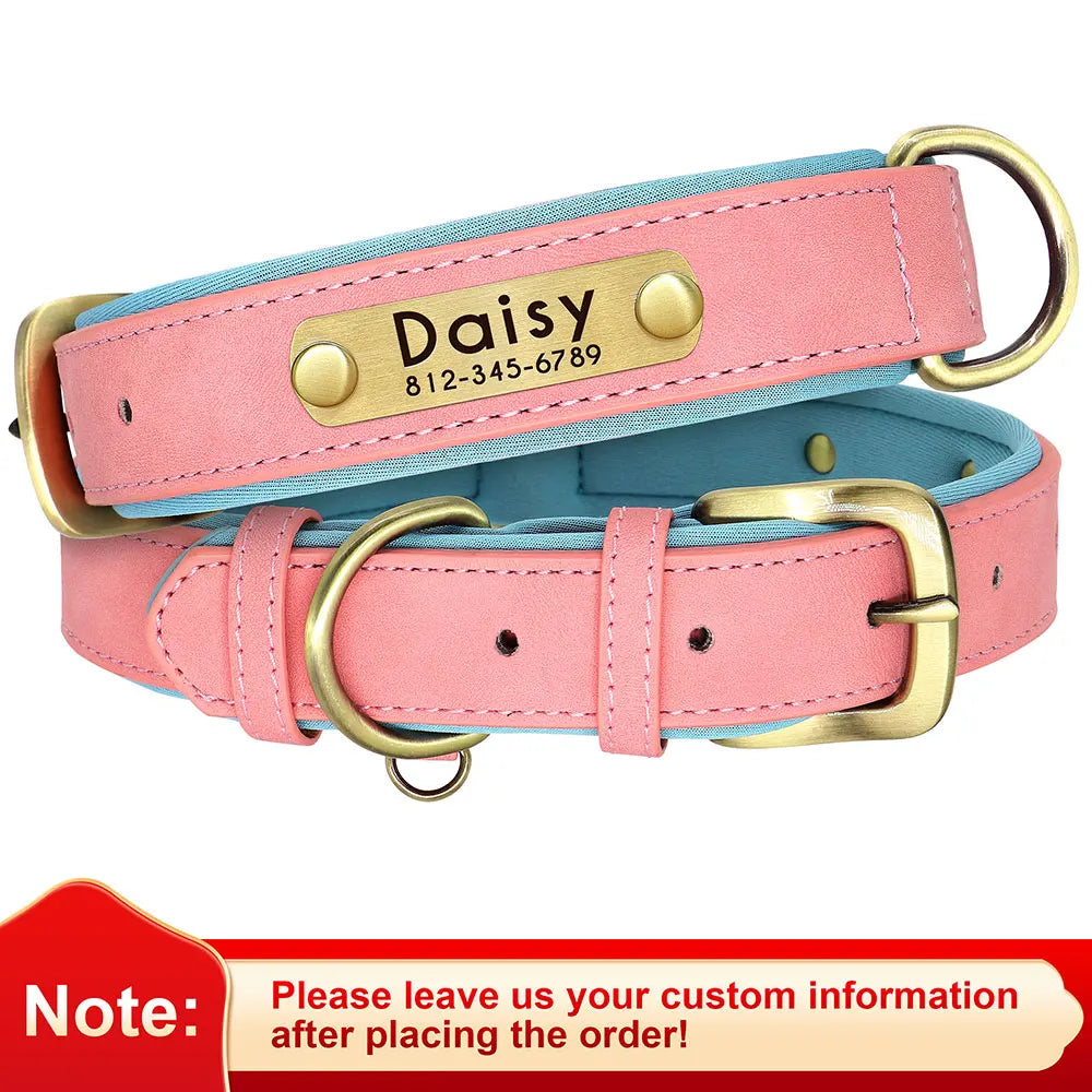 Personalized Dog Collar Leash for Small Large Dogs Soft Padded