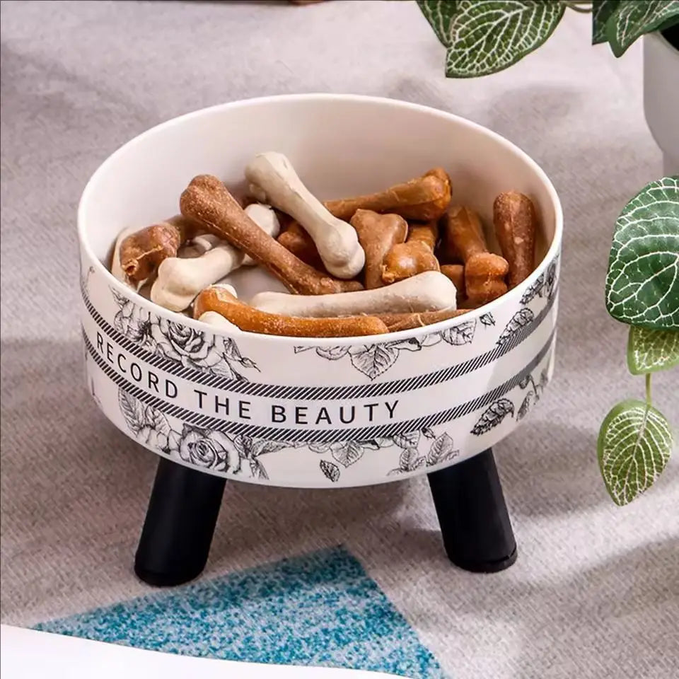 Stainless Steel Elevated Pet Bowls - Cat, Dog Food Water Dishes