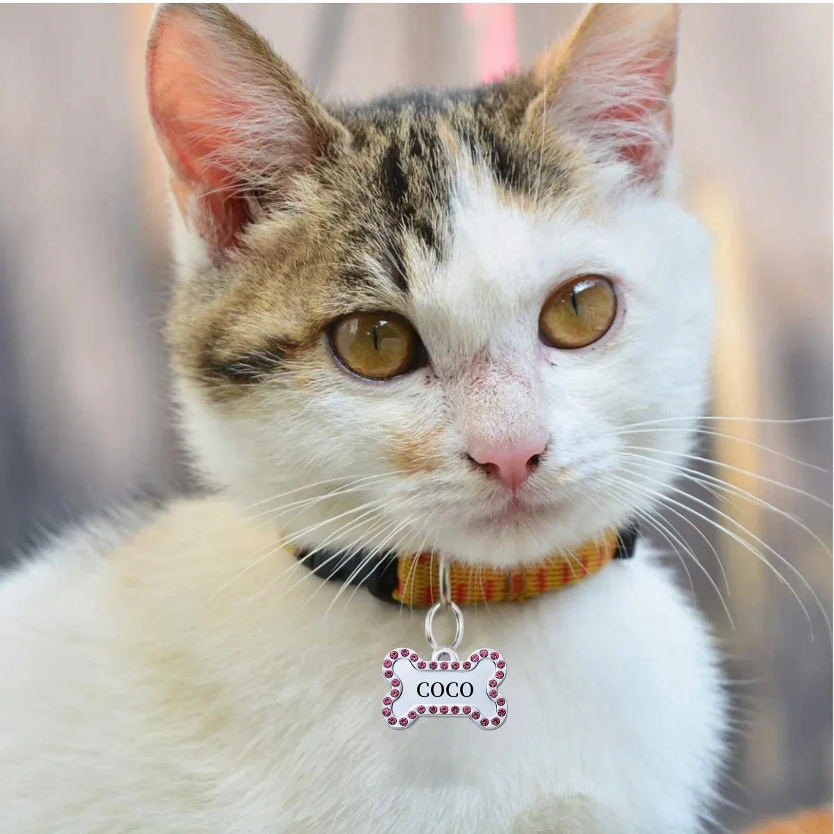 VIP Customizable Engraved Pets ID Tag for Dogs and Cats. Bronze Nameplate Tags Personalized  Collar ID Pendant