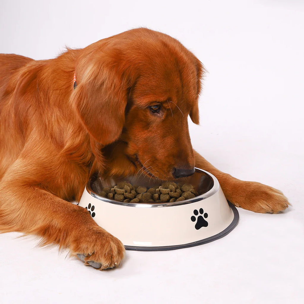 Stainless steel large capacity food bowl