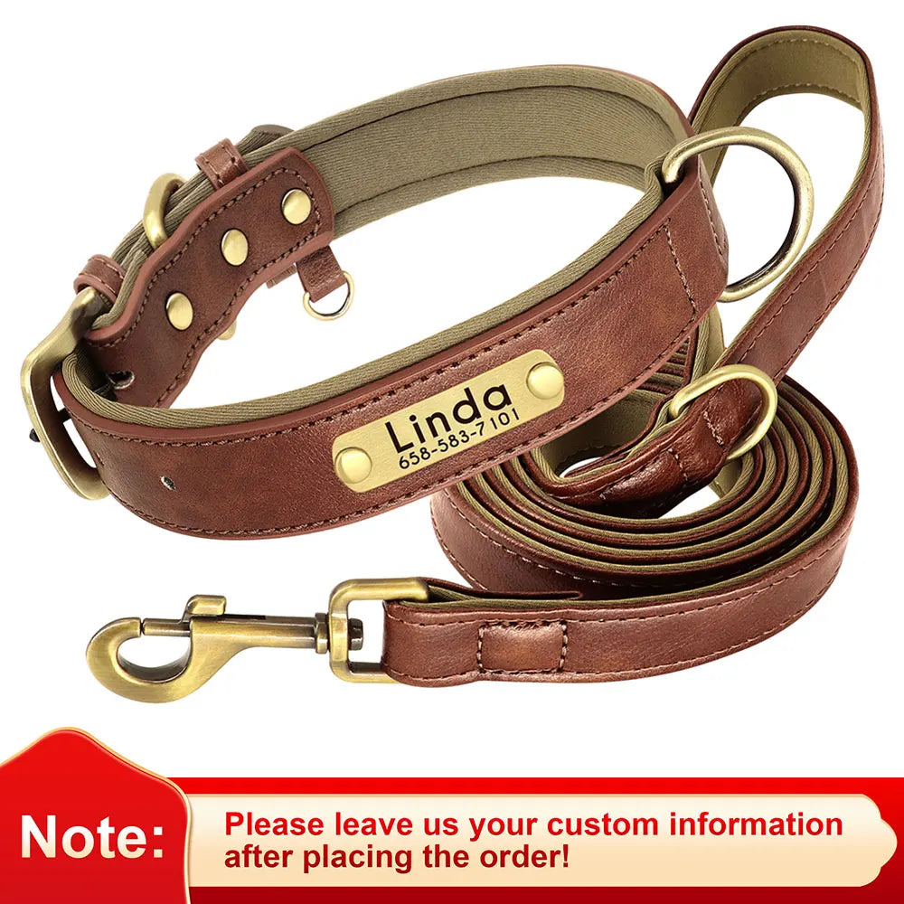 Personalized Dog Collar Leash for Small Large Dogs Soft Padded
