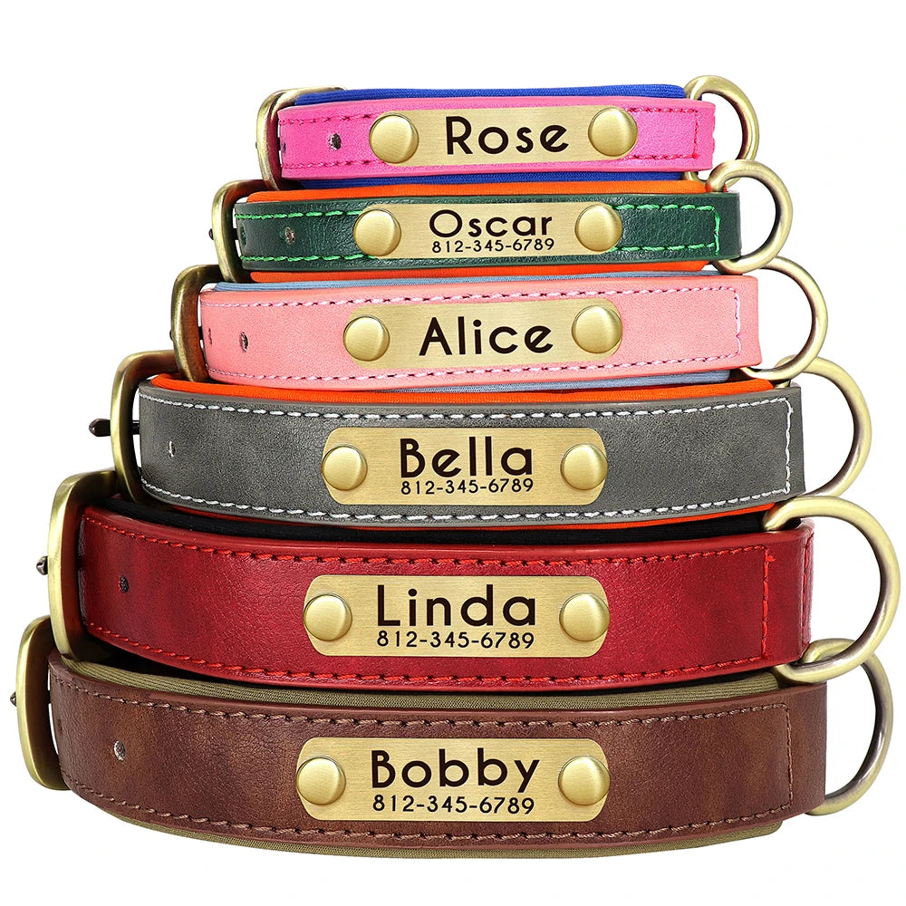 Personalized Dog Collar Leash for Small Large Dogs Soft Padded