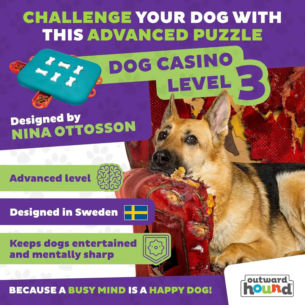 Advanced Dog Puzzle Toy for  Dogs, Level 3 Interactive Treat Game, Turquoise
