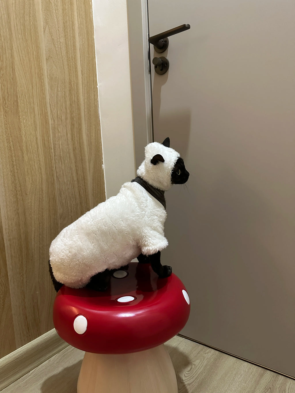Hairless cat thickened polar fleece,  warm , double-sided fleece cotton