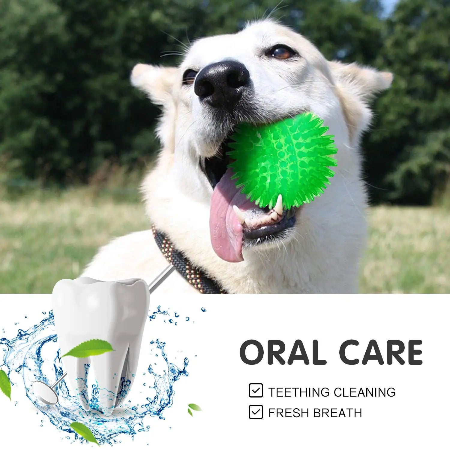 3/6Pcs Squeaky Dog Ball Toys, Dog Chew Ball for Boredom, Floatable Pool Dog Toy,Puppy Teeth Cleaning Toy for Small ,Medium Dogs