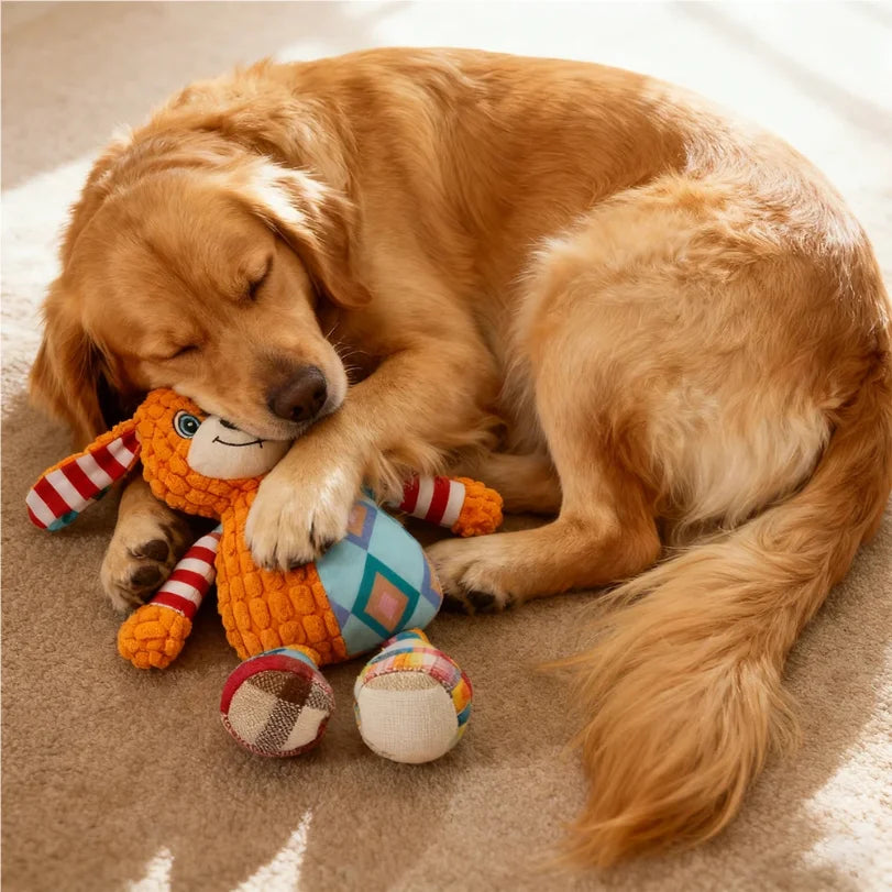 Interactive Plush Toy for Cat And Dog, Cute Squeaky Bite Resistant Puzzle Chew Toy for Teeth Cleaning