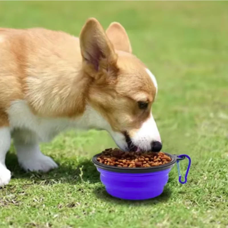 Durable Portable Food Bowl for Cats And Dogs ,Silicone ,Collapsible ,Travel Outdoor Water Food Bowl