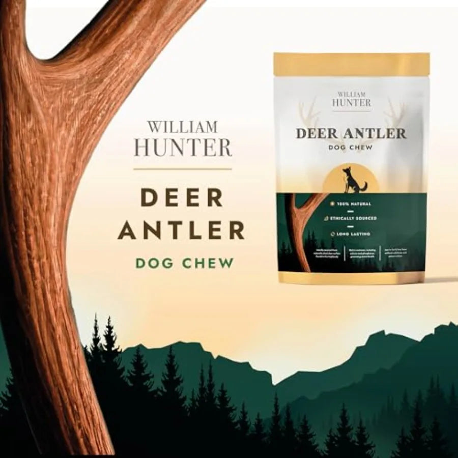 Naturally Shed Deer Antler for Dogs - Long Lasting Dog Antler
