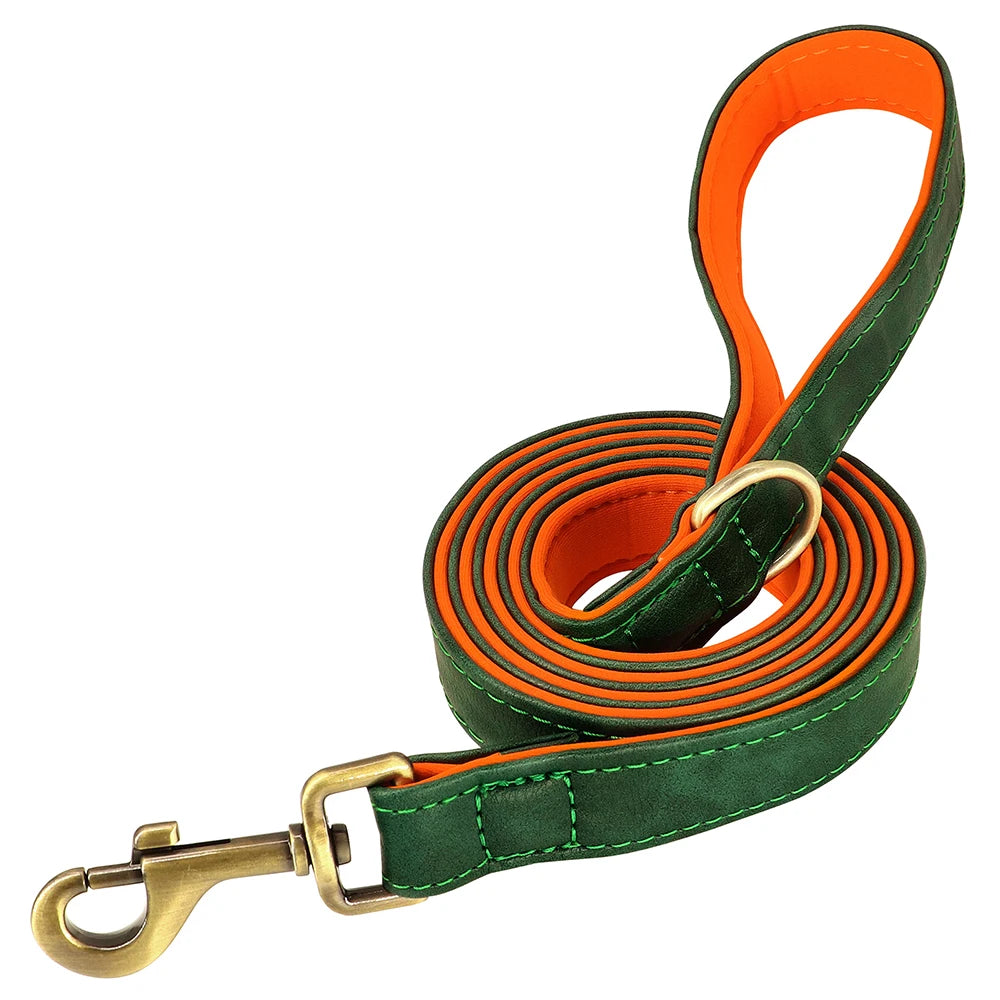 Personalized Dog Collar Leash for Small Large Dogs Soft Padded