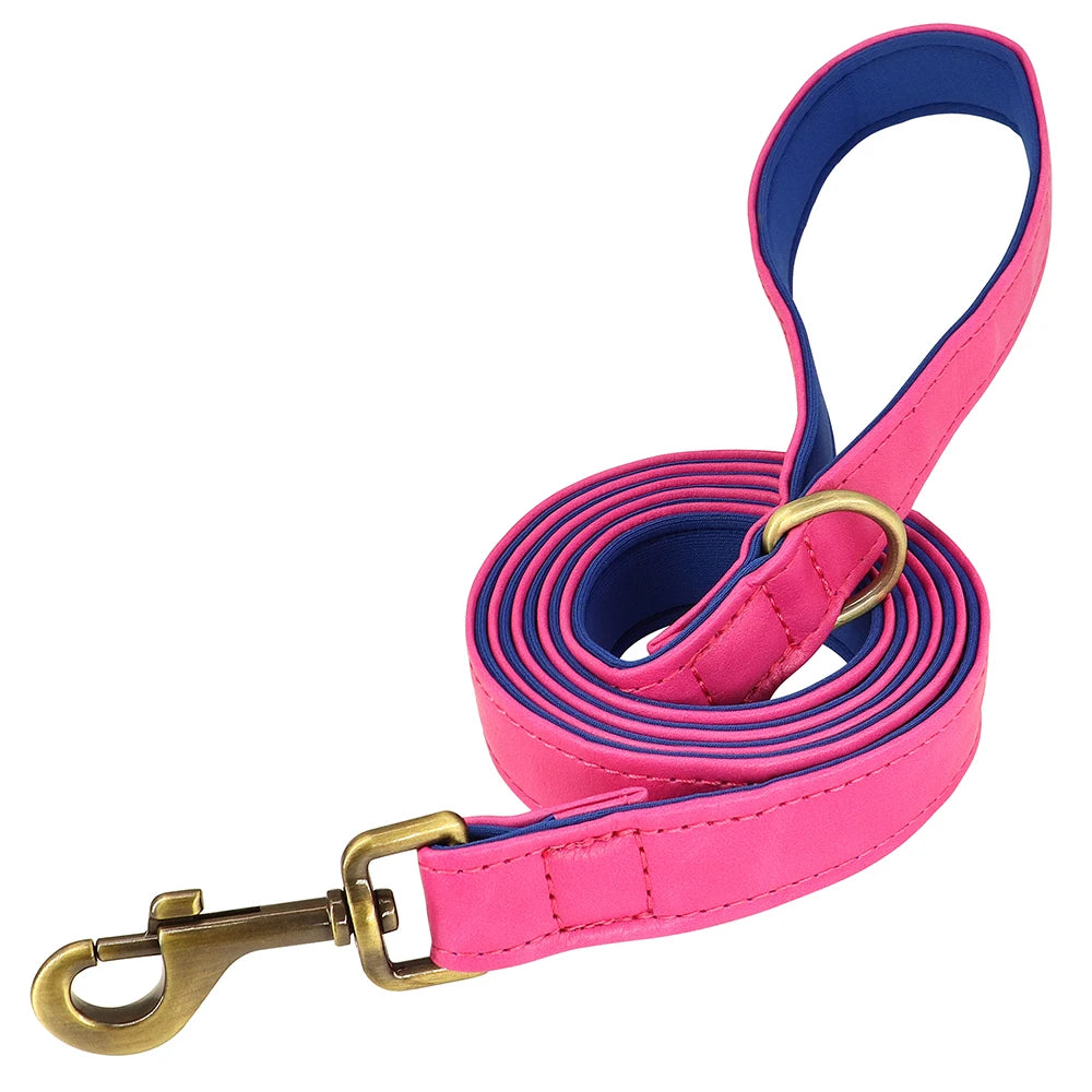Personalized Dog Collar Leash for Small Large Dogs Soft Padded