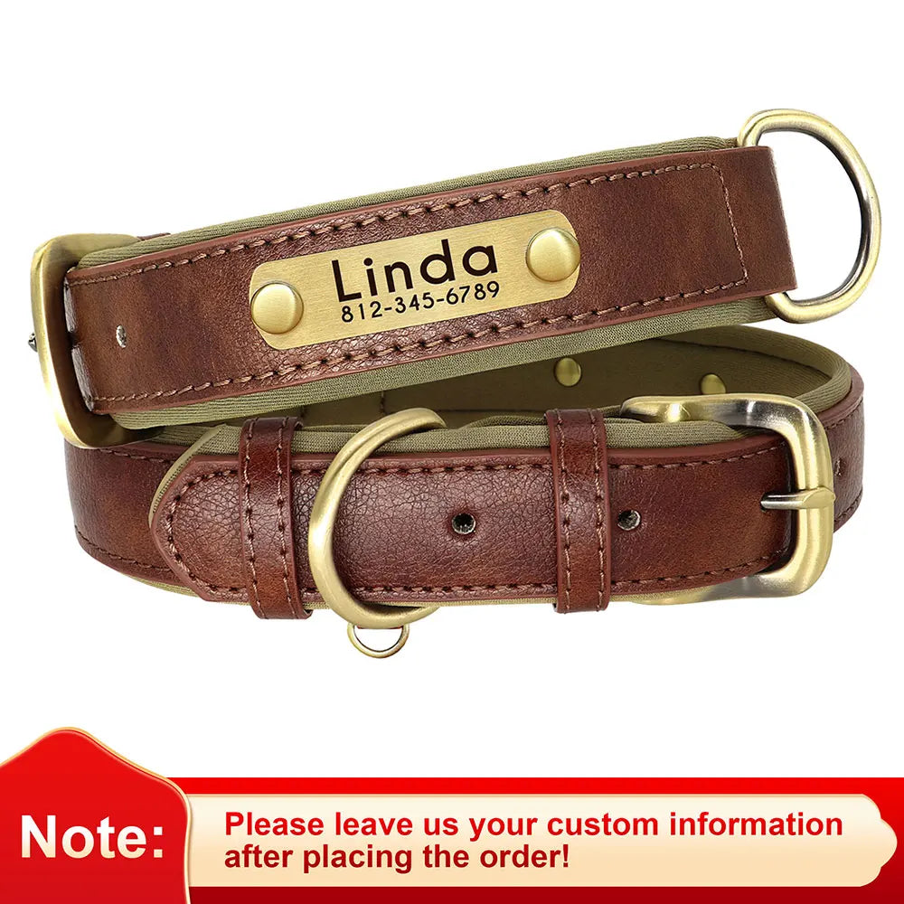 Personalized Dog Collar Leash for Small Large Dogs Soft Padded