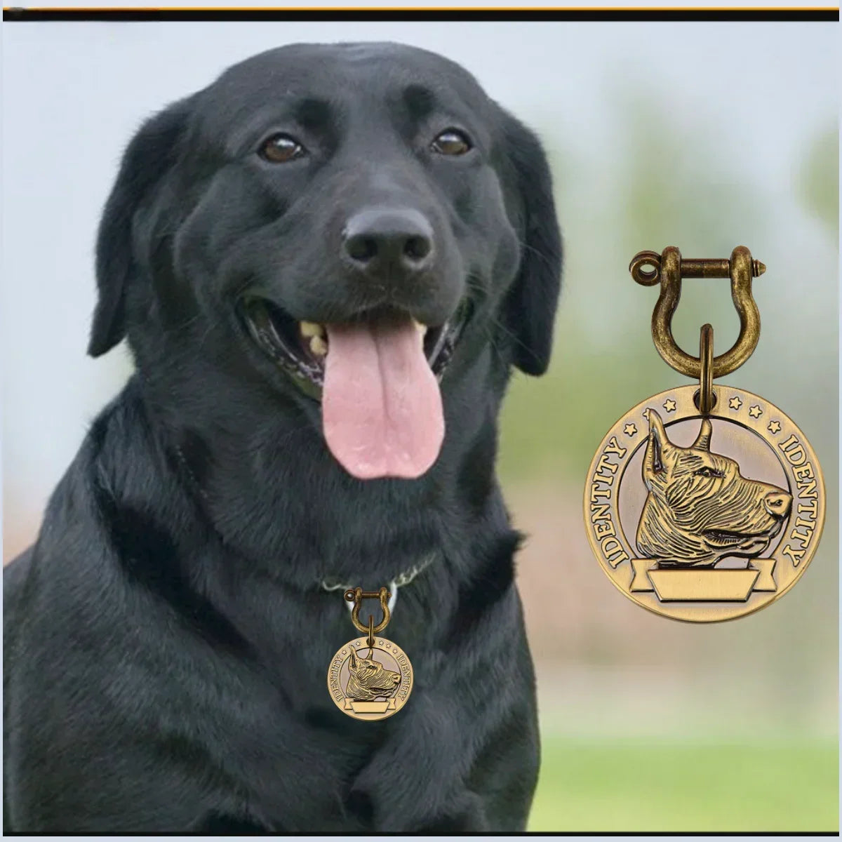 VIP Customizable Engraved Pets ID Tag for Dogs and Cats. Bronze Nameplate Tags Personalized  Collar ID Pendant