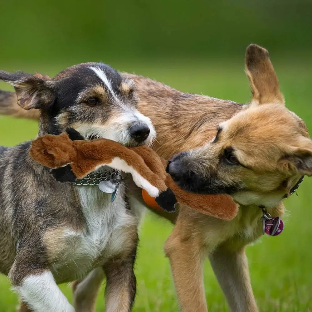 18 Inch Stuffing Free Squeaky Toy for Small,  Medium Dogs