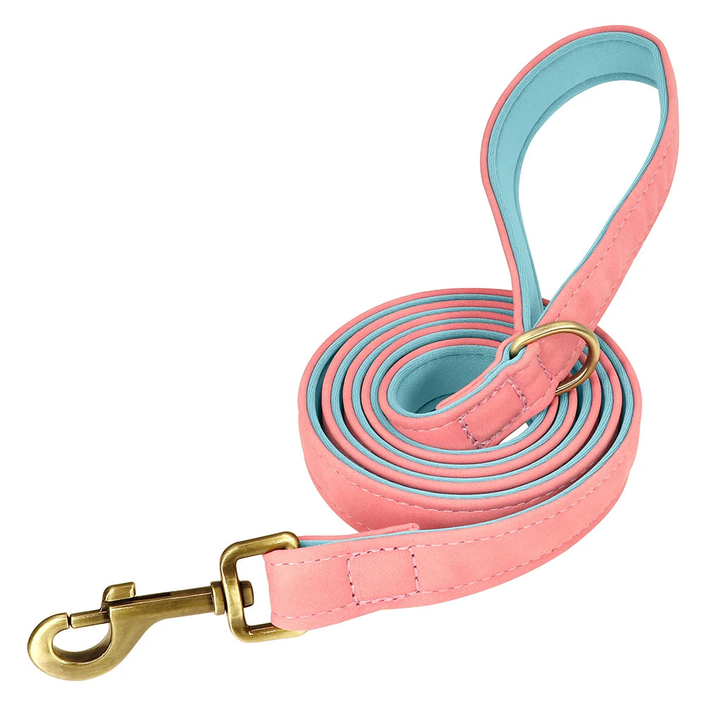 Personalized Dog Collar Leash for Small Large Dogs Soft Padded