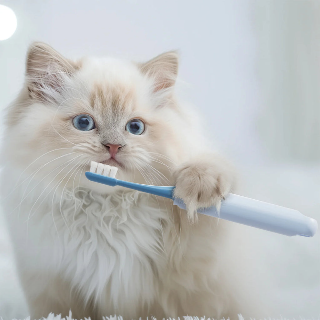 2in1 Cleaning Dog toothbrush Soft Hair Pet Toothbrush Double Sided Tooth Brush for Dog Cat Small pet Teeth Cleaning Oral Care