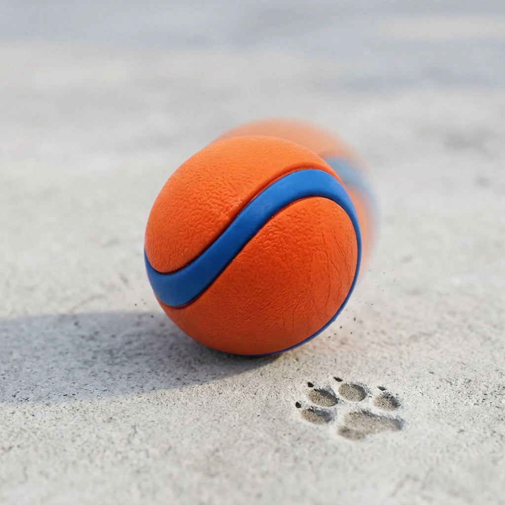 Interactive Dog Bouncy Ball, Natural Rubber , High Elasticity, Durable Chew Toy for Pet Training & Play