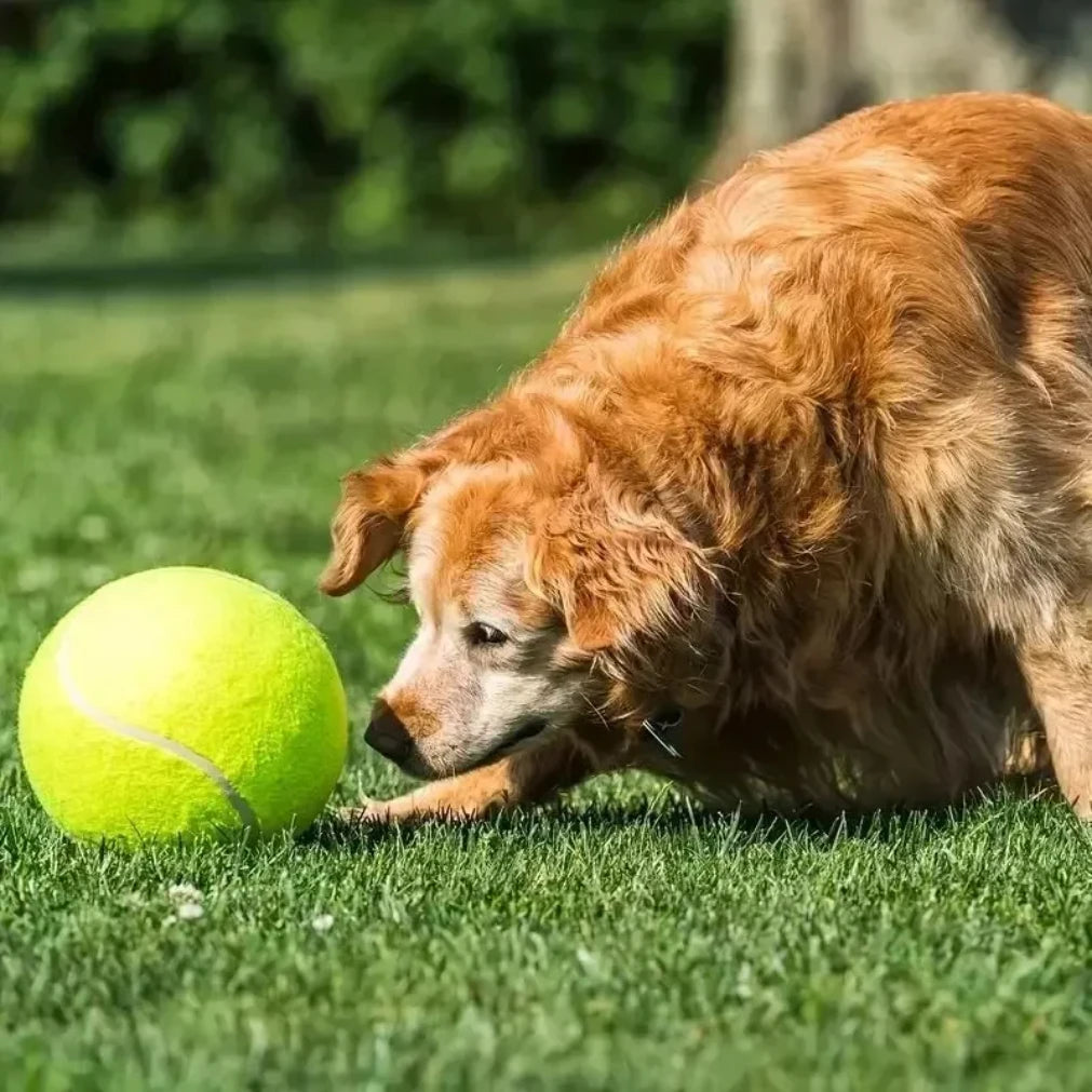 7/9.5Inch Giant Tennis Ball ,Inflatable Toy for Dog Training Ball 24cm Tennis Ball with Air Pump Interactive Dog Toys