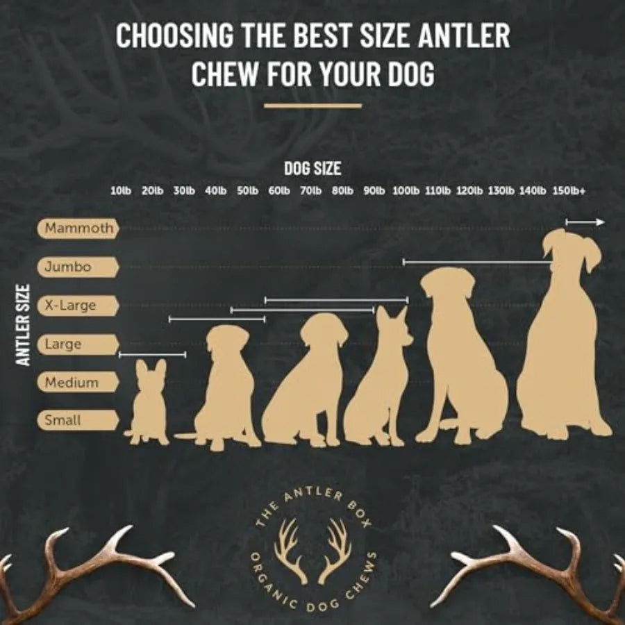Premium Elk Antler Dog Chews 1 Pound Box (Small (7-8 Pieces) Whole/Split Mixed)