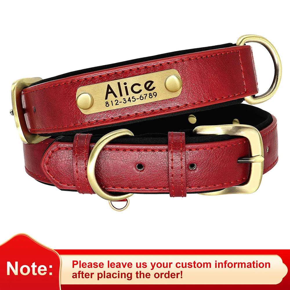 Personalized Dog Collar Leash for Small Large Dogs Soft Padded