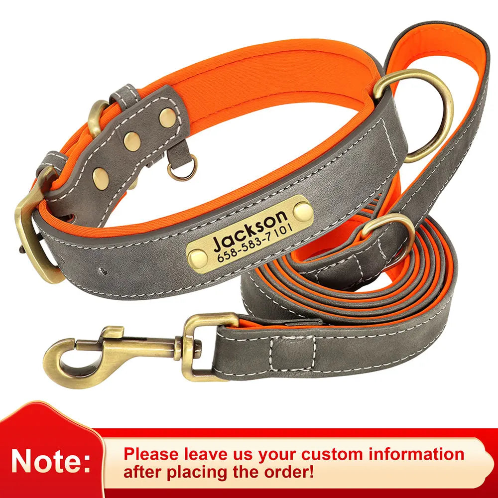 Personalized Dog Collar Leash for Small Large Dogs Soft Padded