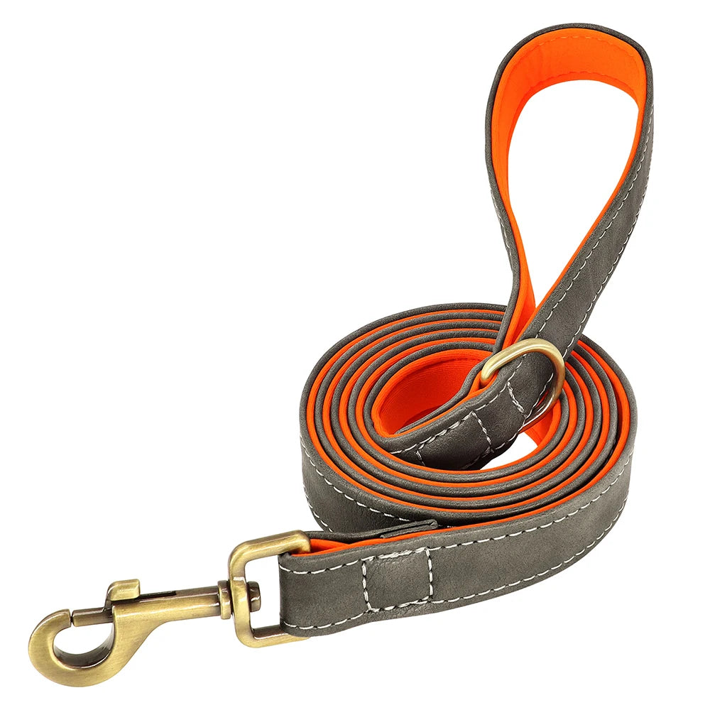 Personalized Dog Collar Leash for Small Large Dogs Soft Padded