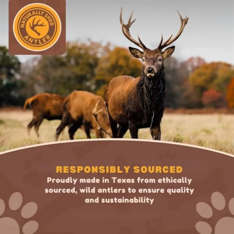 - Antlers for Small Dogs 10 Pack Deer Antler Chew Bones