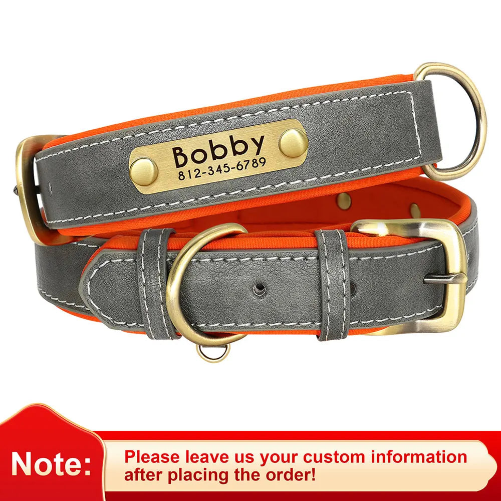 Personalized Dog Collar Leash for Small Large Dogs Soft Padded