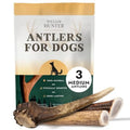 Naturally Shed Deer Antler for Dogs - Long Lasting Dog Antler