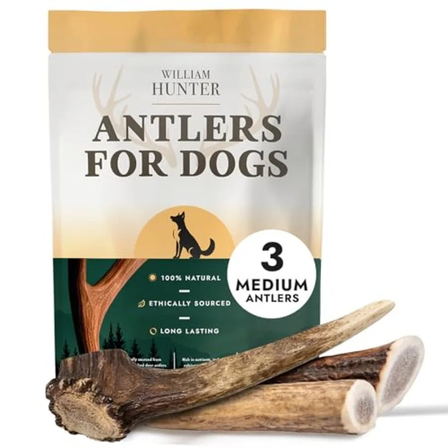 Naturally Shed Deer Antler for Dogs - Long Lasting Dog Antler