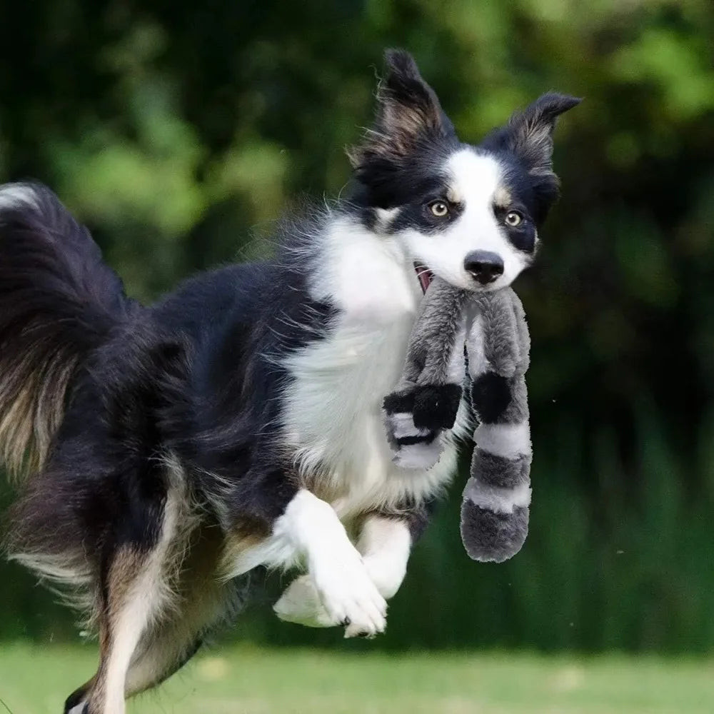 18 Inch Stuffing Free Squeaky Toy for Small,  Medium Dogs