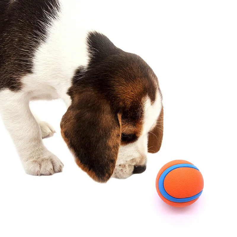 Interactive Dog Bouncy Ball, Natural Rubber , High Elasticity, Durable Chew Toy for Pet Training & Play