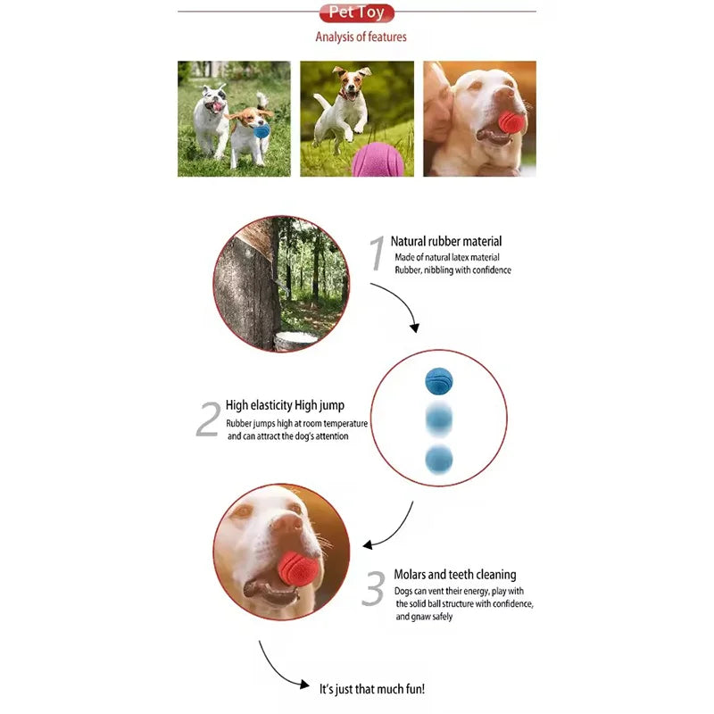 Dog Chew Toy Ball Elastic Rubber Solid Ball For Outdoor Throwing Recovery Training