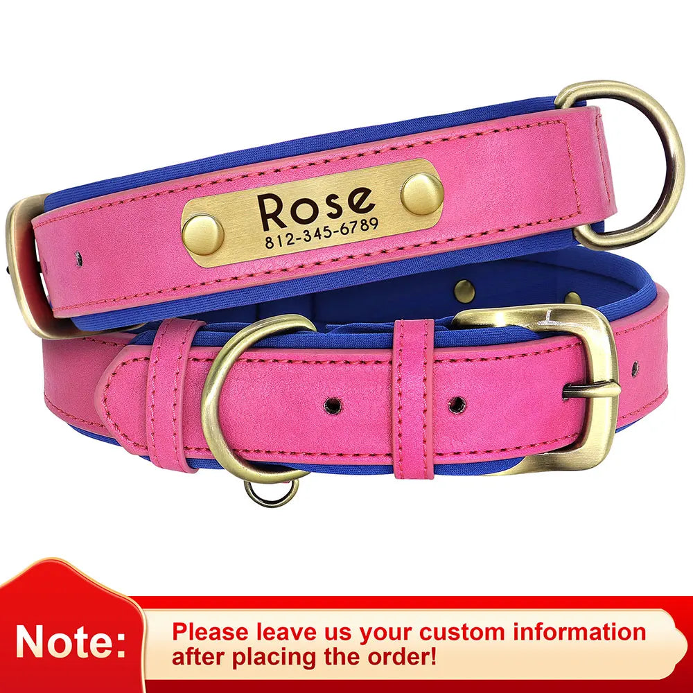 Personalized Dog Collar Leash for Small Large Dogs Soft Padded
