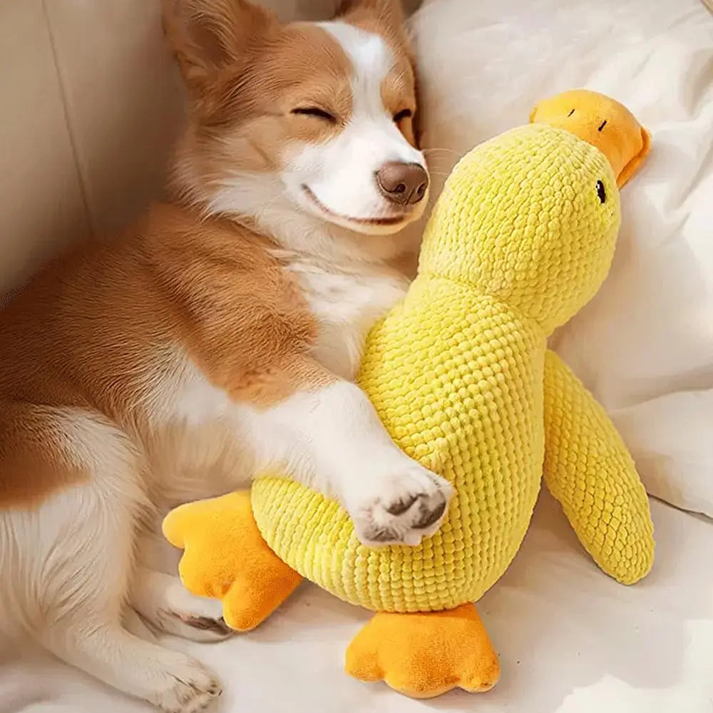 Plush Duck Squeaky Dog Toy,Soft  Toy for Small to Large Dogs,Relieve boredom and Sleep Companion,Dog Accessories
