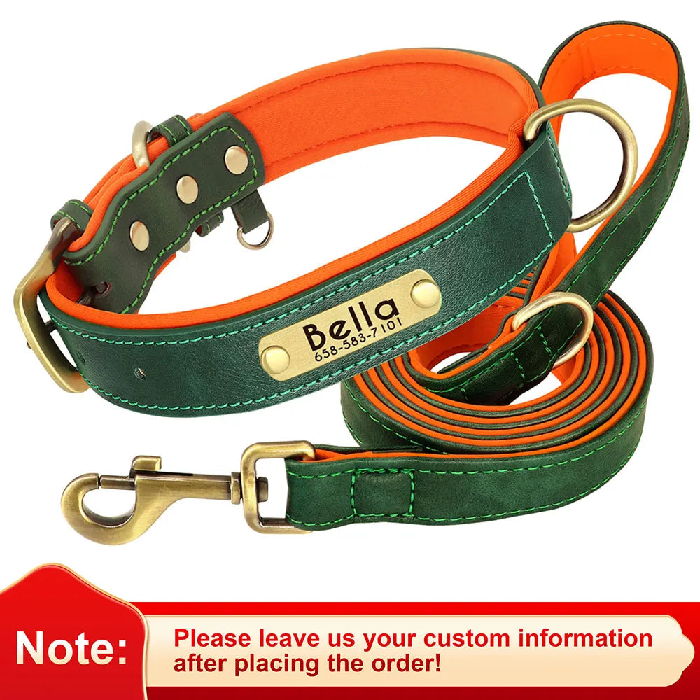 Personalized Dog Collar Leash for Small Large Dogs Soft Padded