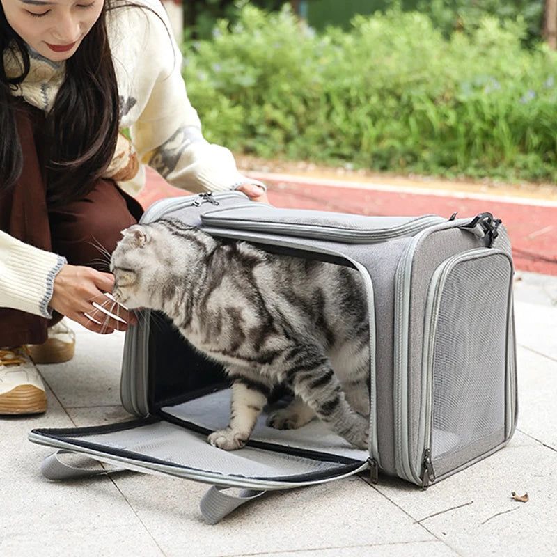Portable Dog ,Cat Carrier Bag ,Soft Side Travel Bags, Airline Approved Transport