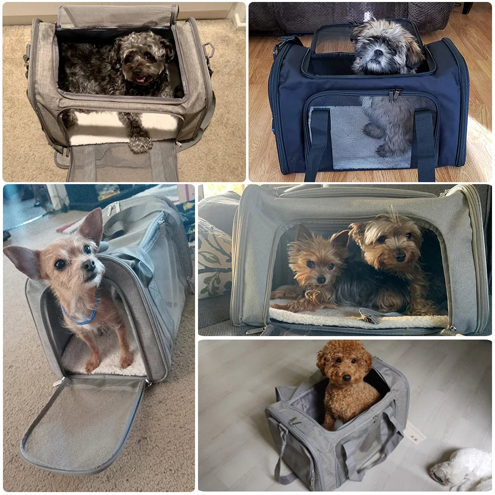 Pet Carrier Bag , Soft Side Backpack Travel Bag, Airline Approved Transport For Small Dogs and Cats