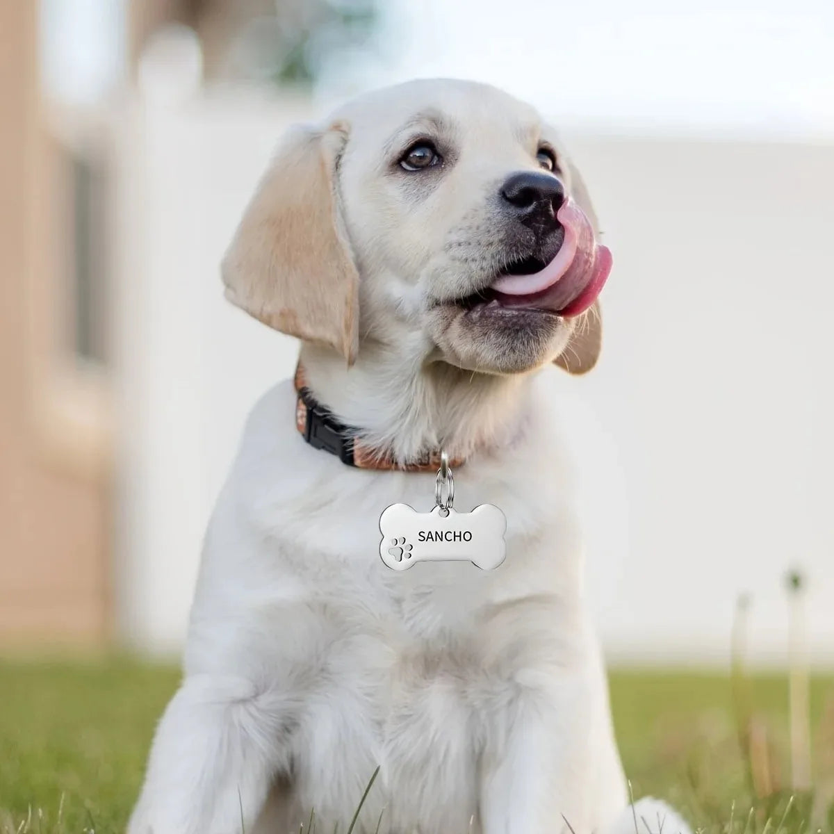 Personalized Engraved High Quality Dog ,Cat Tag with Name and Phone Number, Bone Shaped Pet Pendant for Custom Identification