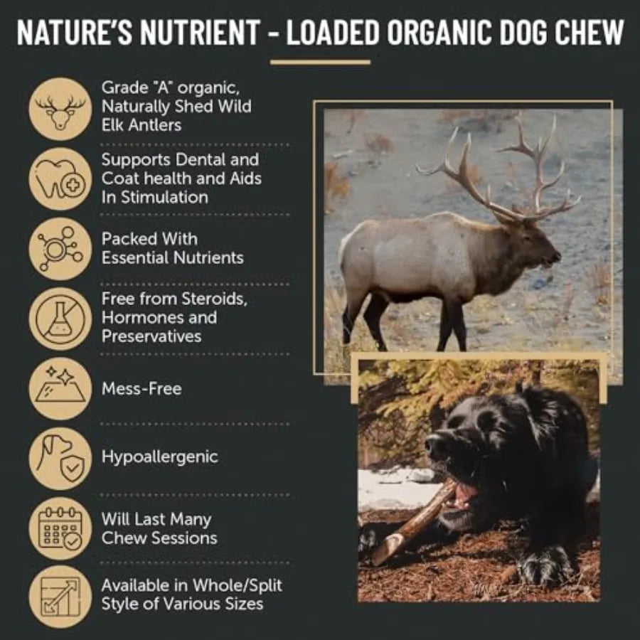 Premium Elk Antler Dog Chews 1 Pound Box (Small (7-8 Pieces) Whole/Split Mixed)