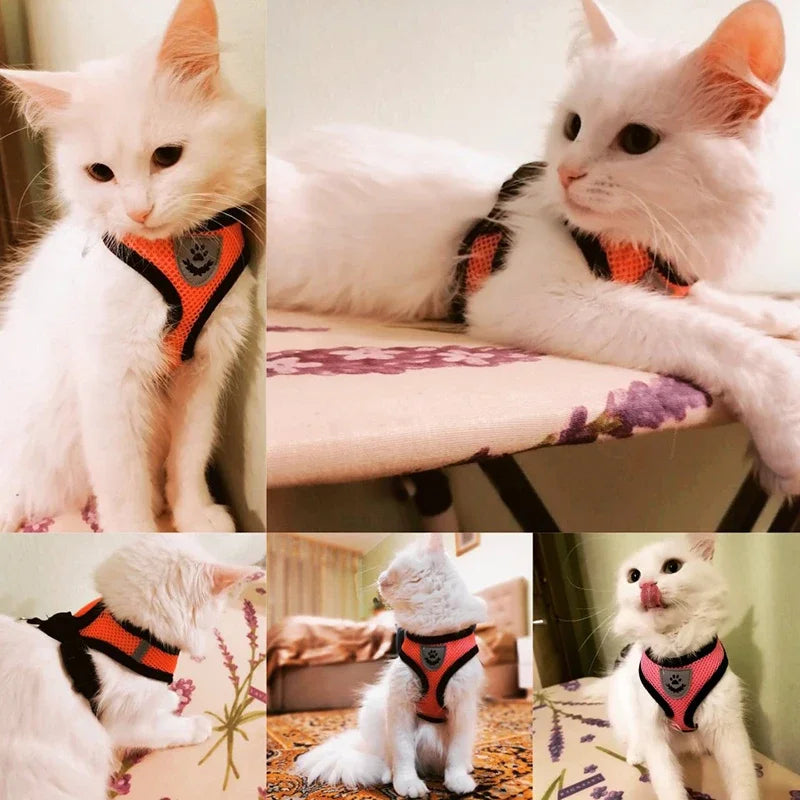 Adjustable Vest Polyester Mesh Breathable Harnesses Reflective for Small Dog and Cat