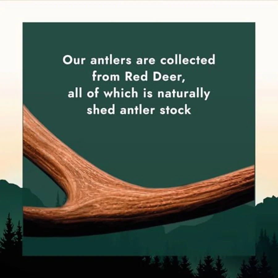Naturally Shed Deer Antler for Dogs - Long Lasting Dog Antler