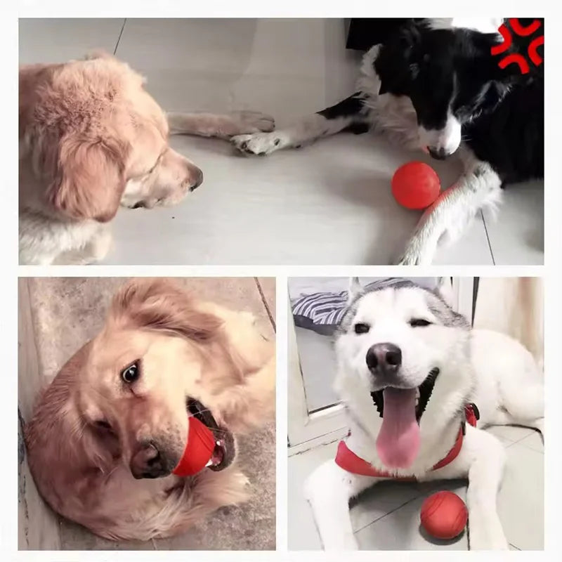 Dog Chew Toy Ball Elastic Rubber Solid Ball For Outdoor Throwing Recovery Training