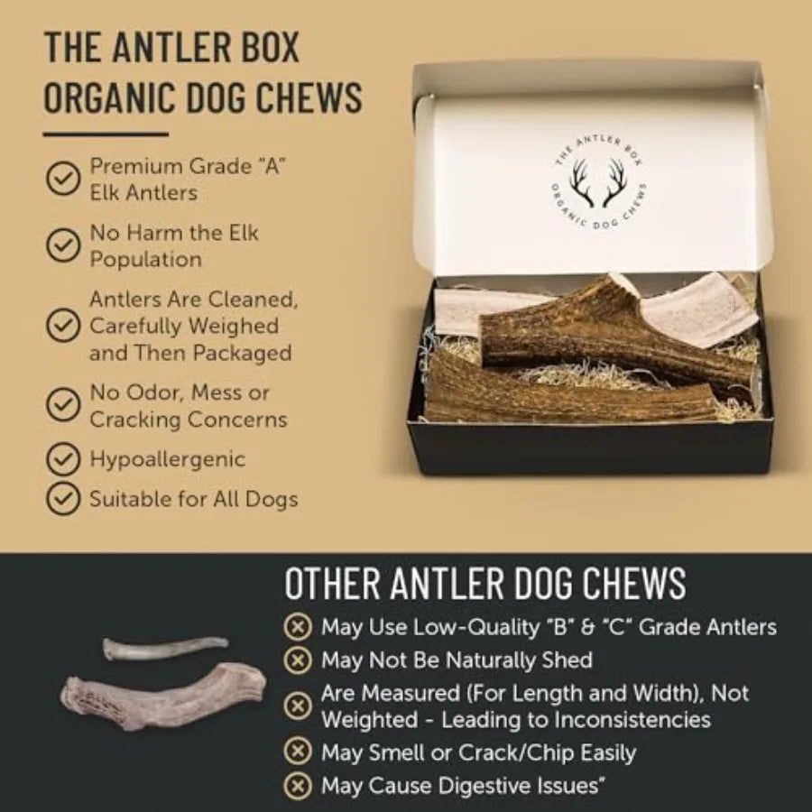 Premium Elk Antler Dog Chews 1 Pound Box (Small (7-8 Pieces) Whole/Split Mixed)