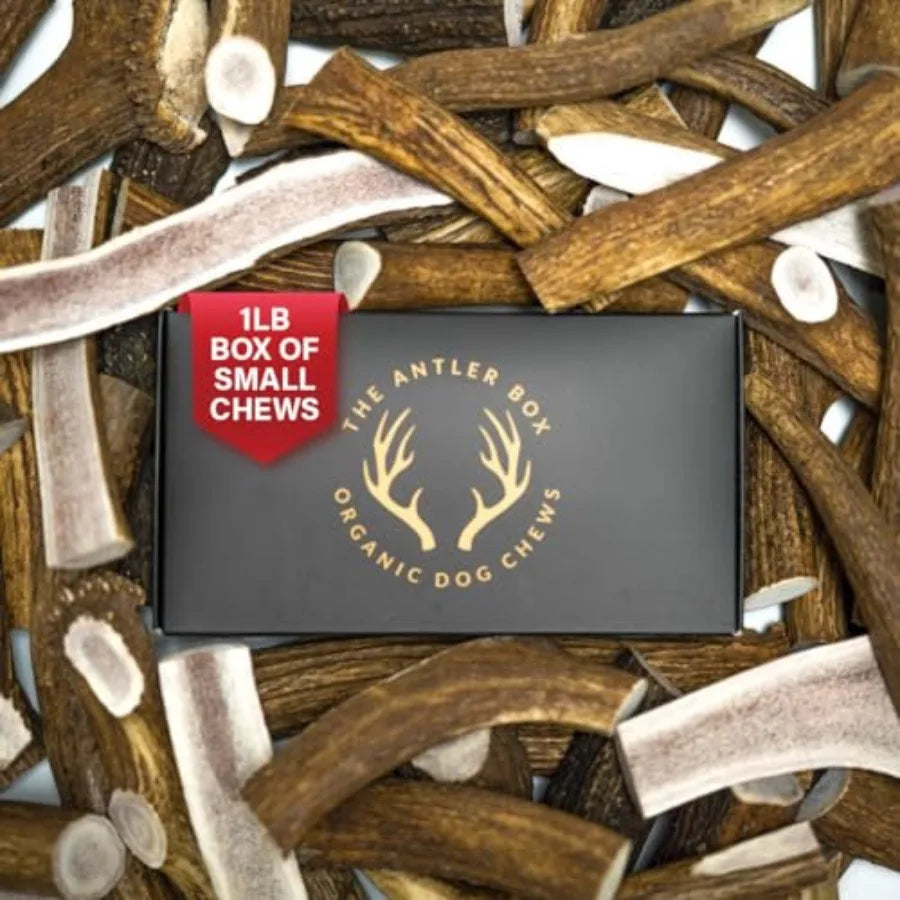 Premium Elk Antler Dog Chews 1 Pound Box (Small (7-8 Pieces) Whole/Split Mixed)